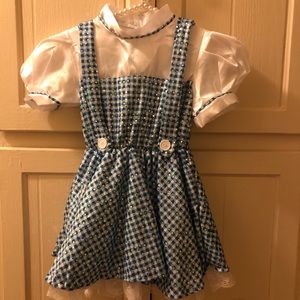 Wizard of Oz Dorothy costume